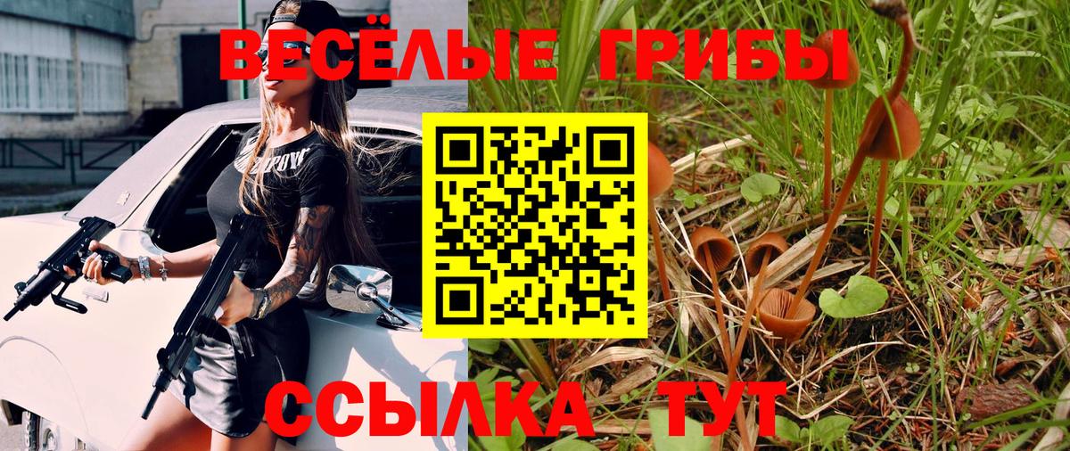 Псилоцибиновые грибы прущие грибы Кемерово