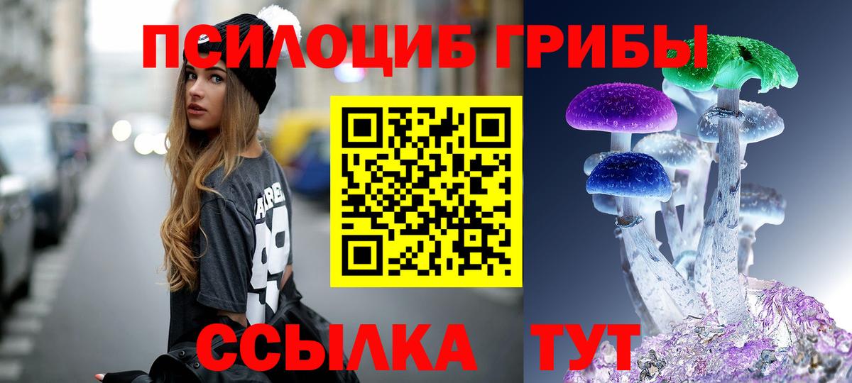 Кемерово  Галлюциногенные грибы Psilocybe  Вход с VPN 