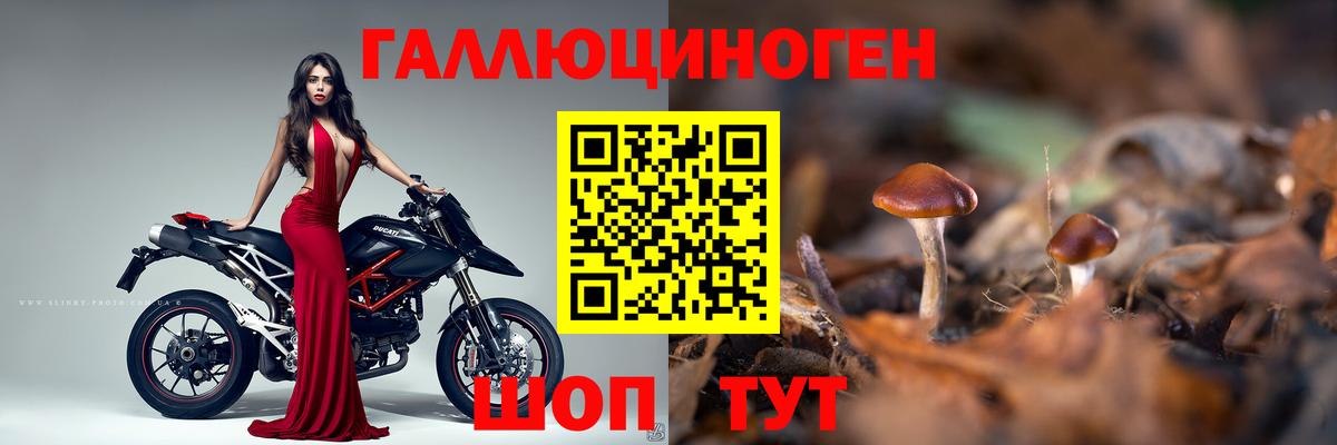 Марихуана  Вход с VPN  МЕФ кристаллы  NBOMe  Alpha PVP СОЛЬ   Кемерово  Cocaine  ГАШИШ 