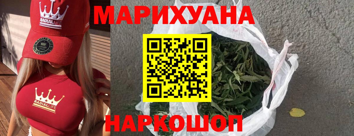 Бошки марихуана планчик  Шишки марихуана семена  Вход с VPN  Канабис индика  Кемерово 